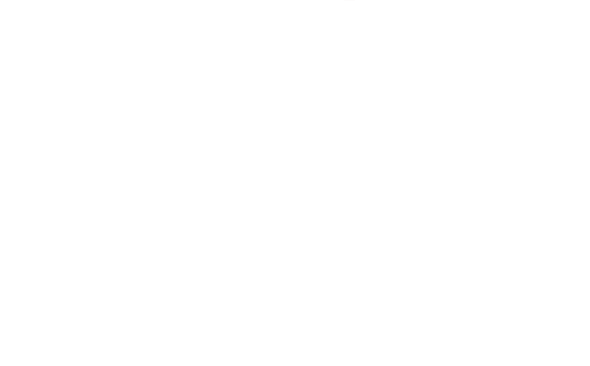 LOGO SNOWVIBES