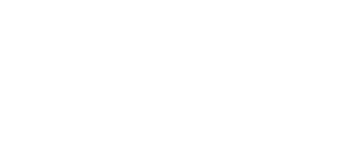 logo snow vibes dates