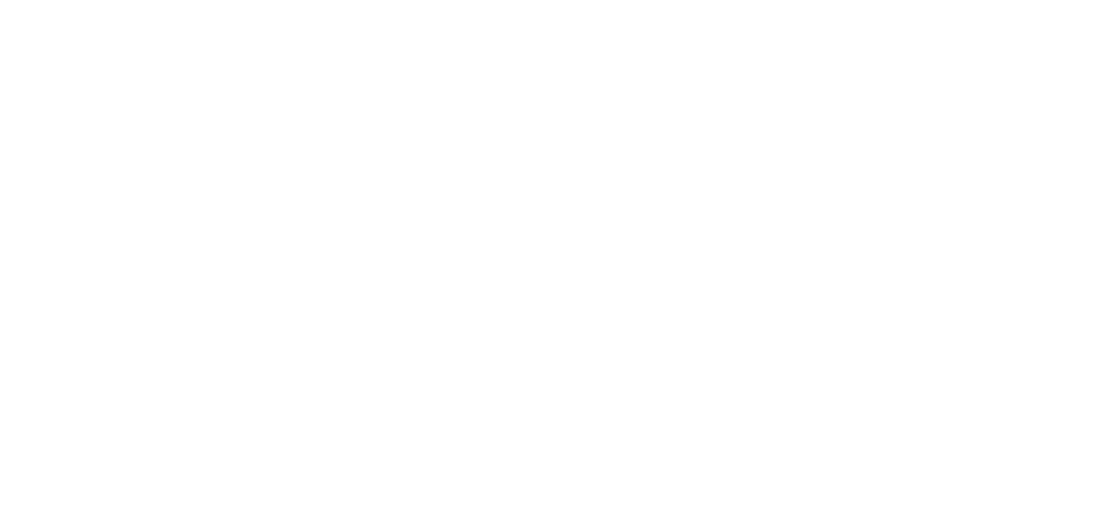 logo snow vibes dates
